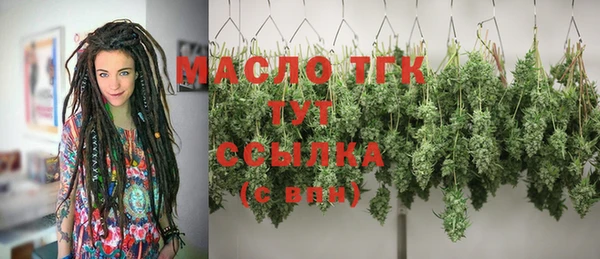 прущие грибы Беломорск