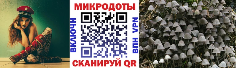 Псилоцибиновые грибы Psilocybe  Беслан 