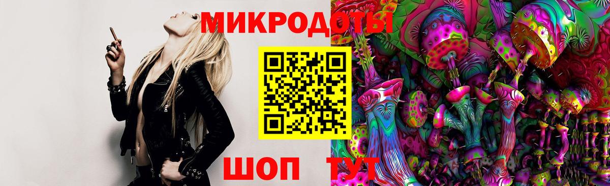 Галлюциногенные грибы Psilocybine cubensis  Беслан 