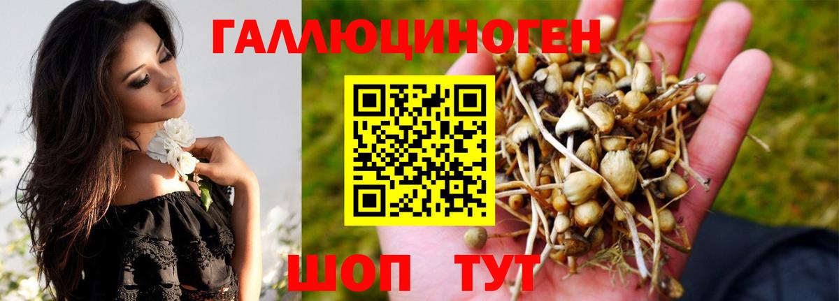 Беслан  Галлюциногенные грибы ЛСД  Псилоцибиновые грибы GOLDEN TEACHER  Вход с VPN 