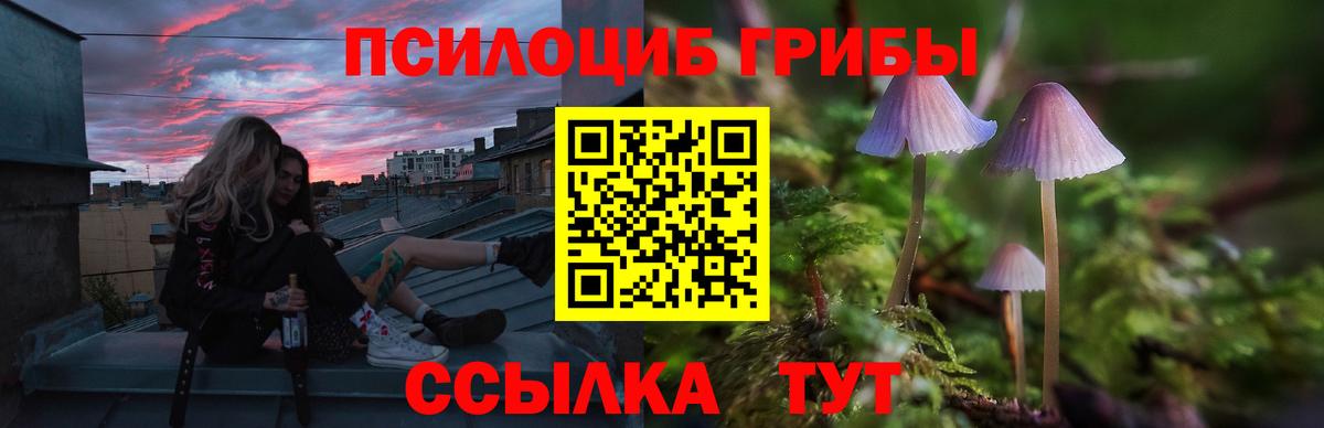 Псилоцибиновые грибы GOLDEN TEACHER Беслан