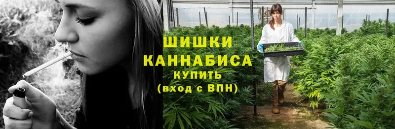 Конопля Ganja  Беслан 