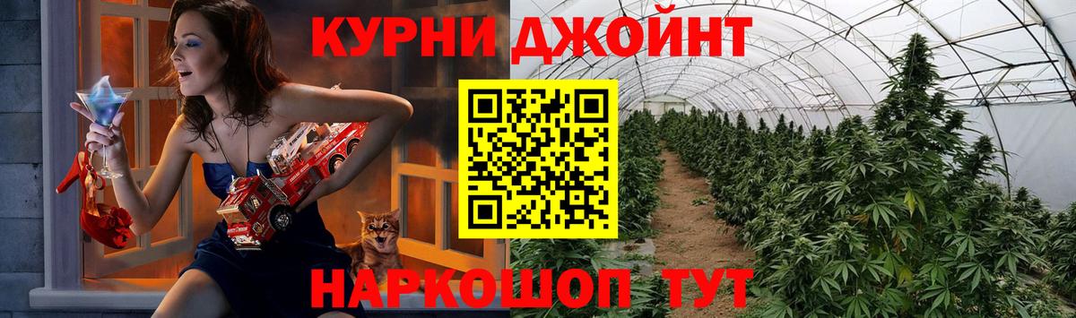 Бошки Шишки планчик  Каннабис тримм  Беслан  МАРИХУАНА семена 